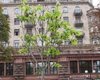 В центре Киева вновь зацвели каштаны