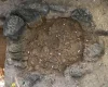 Ученые обнаружили странную могилу в Лаосе: почему 37 человек похоронили в гигантском кувшине (фото)