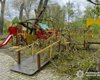 Буревій на Буковині: дерева впали на дитячий майданчик, постраждали двоє дітей