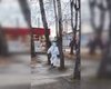 Смерть від чуми в Іркутську: у РФ опублікували фальшиву заяву ВООЗ про те, що все гаразд