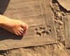В Турции археологи нашли отпечатки лап щенка, чей возраст 1,5 тыс. лет (фото)