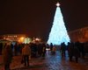 В Киеве зажгли огни на главной елке страны: что она символизирует в этом году (видео)