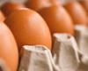 В Украине изменились цены на яйца: где купить самые дешевые