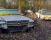 Классика во дворе: обнаружено кладбище старинных Mercedes-Benz (видео)