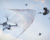 Автономные БПЛА с ИИ и сетками будут охотиться на FPV-дроны: что известно (фото)