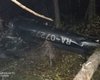 Пилота вертолета с замгенпрокурора РФ застрелили в спину до авиакатастрофы, - СМИ