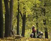 В Беларуси задержали 11 украинцев, собиравших чернику