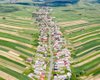 Видно с космоса: деревня с единственной улицей стала мировой сенсацией (фото, видео)