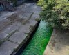 Вода в речке Лыбидь кардинально изменила цвет, — соцсети (фото)