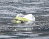 В Италии вспоминают погибших при крушении лайнера Costa Concordia
