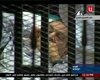 Мубарака и его сыновей ждет второе заседание суда