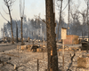 У Харківській області повністю згоріло село через лісову пожежу (відео)