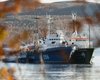 Международный морской трибунал потребовал освободить Arctic Sunrise