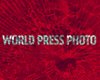 Фотография с Евромайдана покорила World Press Photo 2015