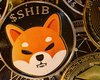 Инвестор заработал $5,7 млрд на криптовалюте Shiba Inu, но не сможет их забрать