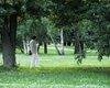 Дожди, сильный ветер и похолодание: прогноз Диденко на новую неделю