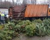 Вдвое больше, чем в прошлом году: в Киеве жители принесли на утилизацию почти 7 тысяч елок (фото)