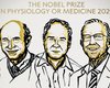 Нобелевскую премию по медицине присудили трем ученым за открытие вируса гепатита С