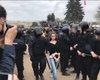 Антикоррупционные митинги проходят в Москве и Санкт-Петербурге: около 300 задержанных