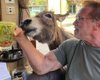 Арнольд Шварценеггер показав свого домашнього віслюка Лулу (фото)