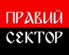 Правый сектор намерен создать трибунал Небесной сотни