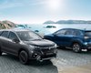 В Украине стартовали продажи нового компактного кроссовера Suzuki: характеристики и цены