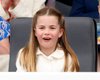 Принцесса Шарлотта может получить редкий титул принцессы Анны