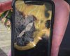 Ученый подал в суд на Apple за сгоревший в кармане iPhone (фото)