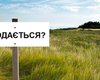 Как купить землю в Украине — юристы рассказали о деталях заключения сделки