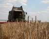Россия выдумывает условия: СМИ узнали о старте переговоров по вывозу зерна из Украины