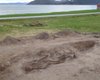 Похоронили не с человеком: в Норвегии археологи раскопали неординарную могилу викингов (фото)