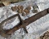 В Польше обнаружили редкие артефакты: находки датируются Второй мировой войной (фото)