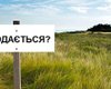 Обнародован текст законопроекта о рынке земли