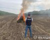 Як 10 футбольних полів: на Одещині поліцейські спалили 332 тисячі кущів конопель (фото)