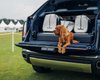 Британский троллинг: Rolls-Royce собирается продавать сиденья для собак с названием модели Bentley