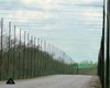 Из-за угрозы со стороны Беларуси: на Волыни установят антидронные сетки на дорогах возле границы