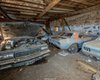 В одном из заброшенных сараев Канады обнаружили коллекцию раритетных авто (видео)