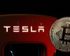 Bitcoin обновил максимум после покупки Tesla криптовалюты на 1,5 млрд долларов