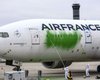 В Париже активисты Greenpeace раскрасили самолет в зеленый цвет (видео)
