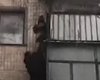 В Тернополе ребенок повис на балконе четвертого этажа, пока мама была в душе (видео)