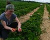 Отдельные будут стимулироваться: Украине не обойтись без трудовых мигрантов, — эксперт