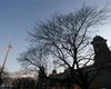 Ветер для денег: украинский школьник предлагает использовать энергию сквозняков