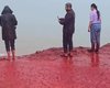 Море в Иране внезапно стало кроваво-красным: стало известно, что окрасило его воды (видео)