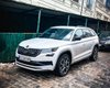 Семейный спорт: в Киеве заметили редкий заряженный кроссовер Skoda (фото)