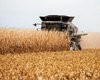 Рекорда не будет. В Минэкономики спрогнозировали снижение урожая зерновых на 20%