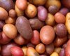 Необычный ген изменил жителей Анд: при чем здесь картофель (фото)