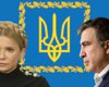 О дураках, большинстве, Тимошенко и Саакашвили