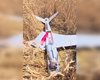 В Ставропольском крае РФ нашли два украинских дрона Shark: чем они грозят врагу (фото)