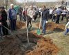 Попов и Вилкул посадили в столичном парке клены