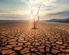 Люди опустили руки: человечество проигрывает в борьбе с изменением климата из-за новой угрозы